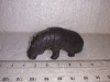 Bnk jc Britains Ltd 1319 Baby Hippopotamus