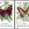 MOLDOVA 1993, Fauna, Fluturi, serie neuzată, MNH