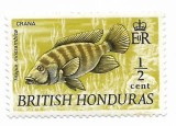 Hondurasul Britanic (2) - Fauna salbatica - Pesti, 1971 - serie neobliterata