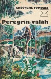GHEORGHE TOMOZEI - PEREGRIN VALAH
