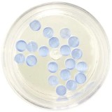 Cumpara ieftin Decorații de unghii albastru deschis, 3mm - strasuri rotunde, INGINAILS