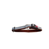 ZGARDA NYLON PENTRU CAINI BULINE BLUE CLICK 25MM 45-75CM