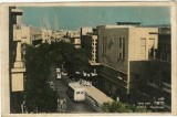 A4444N Haifa, Herzlstreet, Israel, postcard, early 1950's