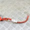 Cablu baterie pozitiv TESLA MODEL 3 2019 OEM: 1067971-00-D 13774955