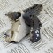 Senzor de nivel &icirc;nălțime st&acirc;nga spate TESLA MODEL 3 2021 OEM: 1044971-00-C 14464475