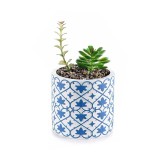 Cumpara ieftin Planta suculenta artificiala in ghiveci ceramica alba albastra &Oslash; 11 cm x 19 H