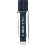 Ferragamo Ferragamo Eau de Toilette pentru bărbați 30 ml