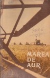 Marea de Aur - Reportaje