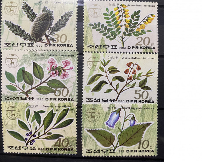 PC347 - Coreea de Nord 1993 Flora/ Plante, serie MNH, 6v