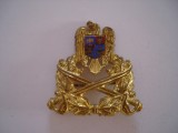 Insemn de coifura/cuc militar ofiter, modern, auriu