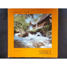 SIBIEL - ION MICLEA