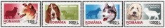 Romania 2001 - Rase de c&acirc;ini, serie neuzata