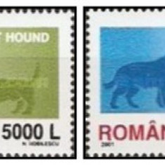 Romania 2001 - Rase de câini, serie neuzata