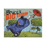Bruce's Big Storm