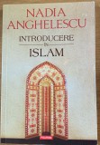 Introducere in Islam - Nadia Anghelescu