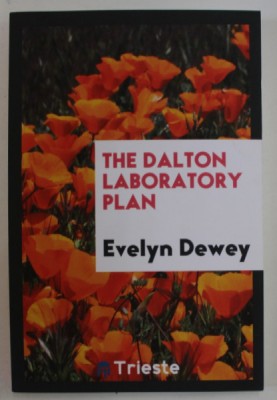 THE DALTON LABORATORY PLAN by EVELYN DEWEY , 1922 , EDITIE ANASTATICA , RETIPARITA 2017 foto