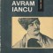 SILVIU DRAGOMIR - AVRAM IANCU