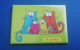 D3 - Magnet frigider - tematica turism - Bulgaria 3