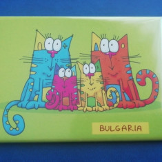 M3 C1 - Magnet frigider - tematica turism - Bulgaria 3