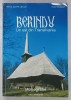 BERINDU , UN SAT DIN TRANSILVANIA de REMUS GABRIEL LAPUSAN si TUDOR SALAGEAN , 2008