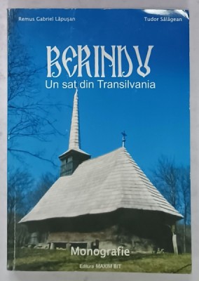 BERINDU , UN SAT DIN TRANSILVANIA de REMUS GABRIEL LAPUSAN si TUDOR SALAGEAN , 2008 foto