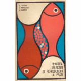 V. Voican, I. Radulescu, L. Lustun - Practica selectiei si reproducerii la pesti - 132235