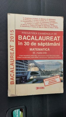 PREGATIREA EXAMENULUI DE BACALAUREAT IN 30 DE SAPTAMANI MATE -INFO , ANGELESCU foto