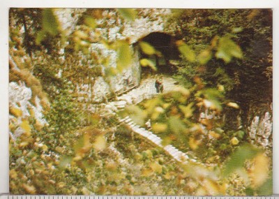 bnk cp Intrarea in Pestera Dambovicioara - Vedere - uzata foto