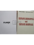 Mihail Raboj - Unitate energetica egal unitate monetara (editia 2006)