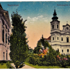 CP circ.1916 Oradea Palatul Episcopal Nagyvarad Szekesegyhaz es puspoki palota