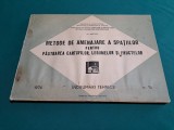 METODE DE AMENAJARE A SPATIILOR PENTRU PĂSTRAREA CARTOFILOR, LEGUMELOR *01 BIS