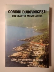 Comori duhovnicești din Sf&acirc;ntul Munte Athos: culese din scrisorile și omiliile Avvei Efrem