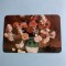 Calendar 1976 legume fructe