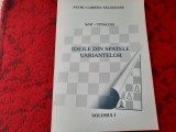 SAH IDEILE DIN SPATELE VARIANTELOR FINALURI VOL 1 PETRU GABRIEL SALAGEANU, Humanitas