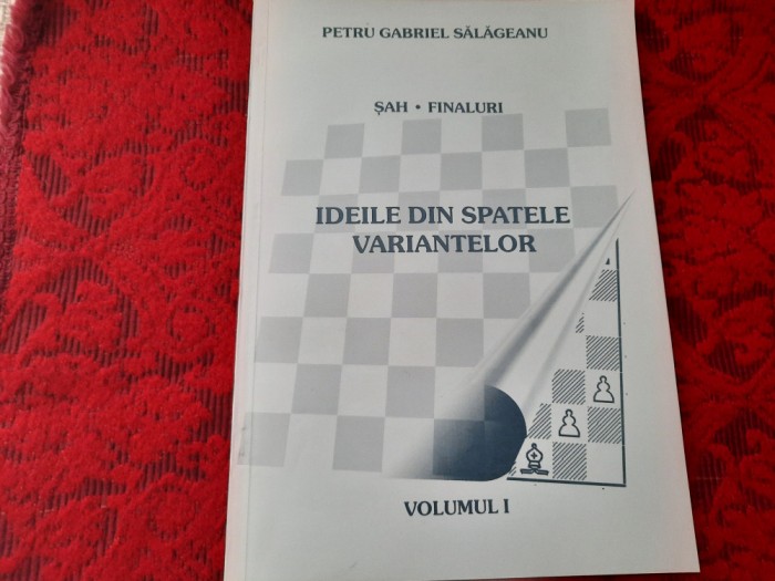 SAH IDEILE DIN SPATELE VARIANTELOR FINALURI VOL 1 PETRU GABRIEL SALAGEANU
