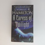 A Caress Of Twilight