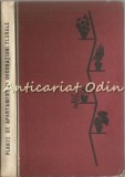 Cumpara ieftin Plante De Apartament Si Decoratiuni Florale - Eugen Sadofsky, Amelia Militiu