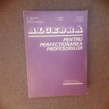 MIRCEA BECHEANU ION D ION ALGEBRA PENTRU PERFECTIONAREA PROFESORILOR