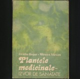 PLANTELE MEDICINALE - IZVOR DE SĂNĂTATE - OVIDIU BOJOR * MIRCEA ALEXAN