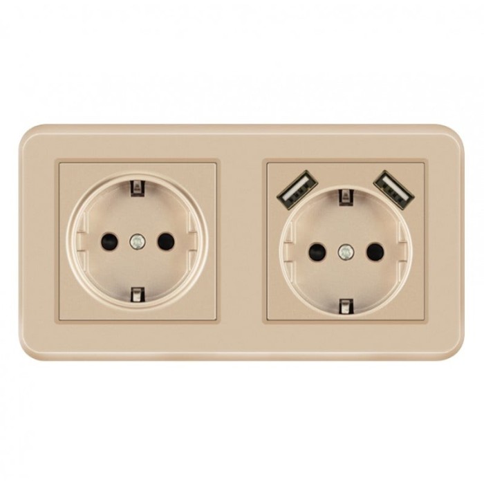 Priza Dubla De Perete cu 2 Porturi USB Techstar&reg; TS-PC, 110-250V, 16A, Ignifuga, 80x151mm, Auriu