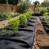 VidaXL Membrană geotextilă, negru, 1 x 50 m, fibră de poliester
