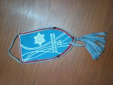 FANION MATASE MIC FEDERATIA POLONEZA DE SCHI