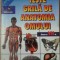 TESTE GRILA DE ANATOMIA OMULUI. CLASA A VII-A-EMILIU PREUTU-233144