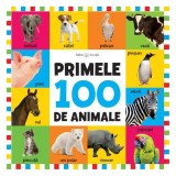 Cumpara ieftin Primele 100 de animale | Format mare - Hardcover - Litera mică
