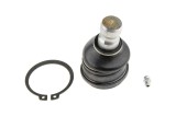 Rotula brat suspensie Chrysler Sebring 2003-, Dodge Stratus 2001-, Mitsubishi Galant Usa 1996-, Fata, Inferior, NTY ZSD-CH-001