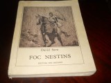 FOC NESTINS - DAVID SAVA,1979,copilaria si tineretea lui Avram Iancu, Alta editura