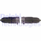 Delphi Ansamblu burduf, directie