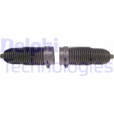 Delphi Ansamblu burduf, directie foto