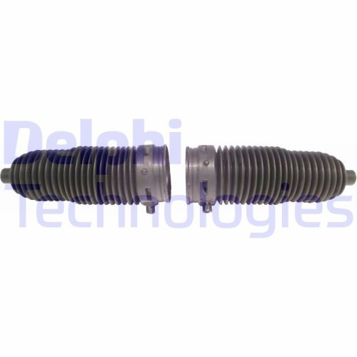 Delphi Ansamblu burduf, directie