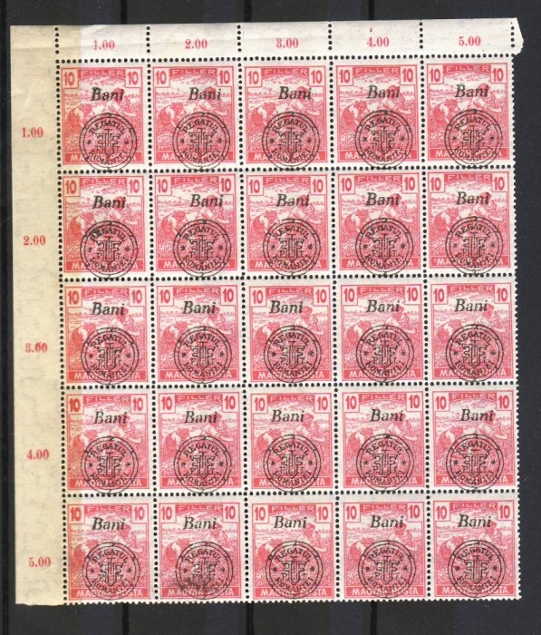 Romania 1919 Emisiunea Cluj Bloc 25 t. MNH